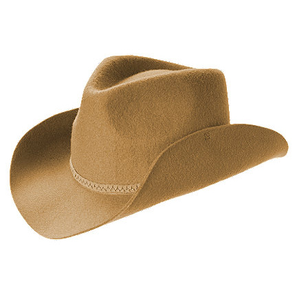 [빠른배송] Cowboy Hat